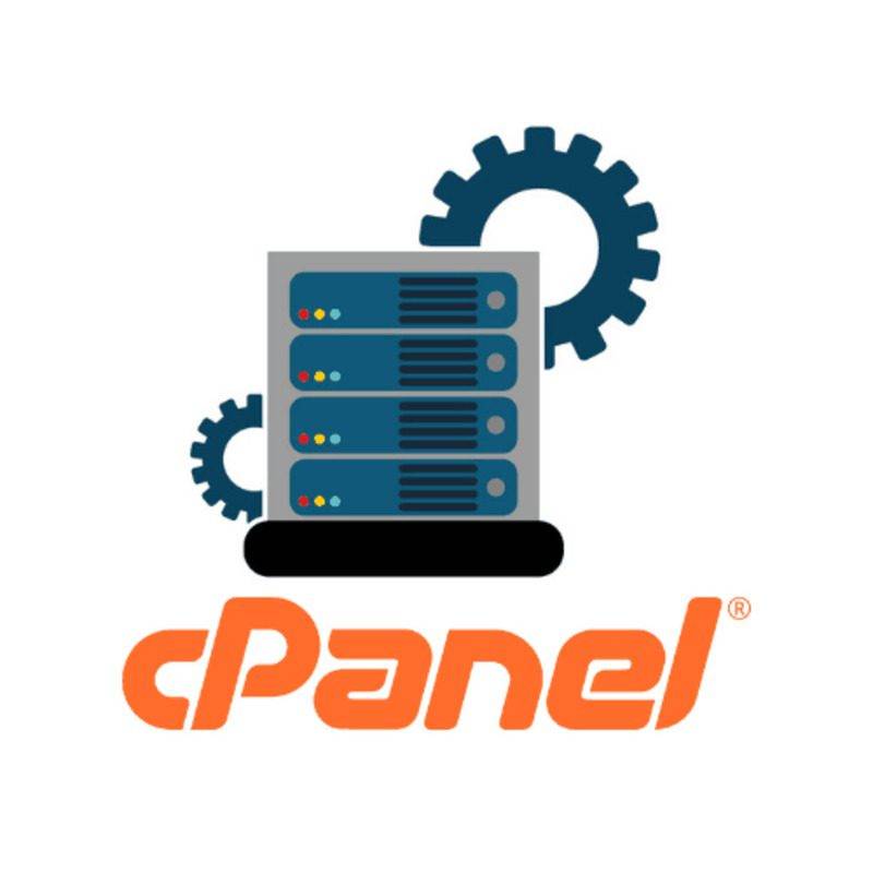 10 important points that you should pay attention to when buying a cPanel shared hosting 1