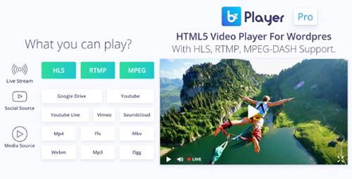 Bzplayer Pro