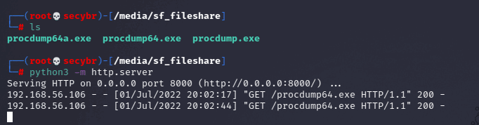 Simple web server on attacker machine for share procdump files