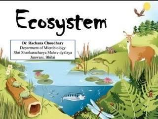 Ecosystem 1 320