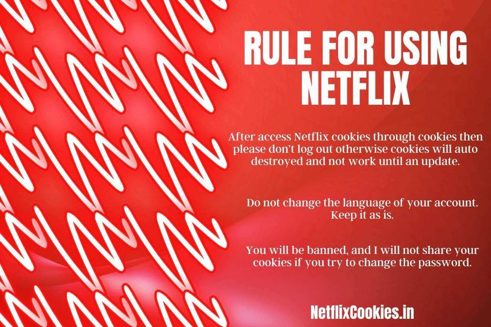 Rule for using Netflix