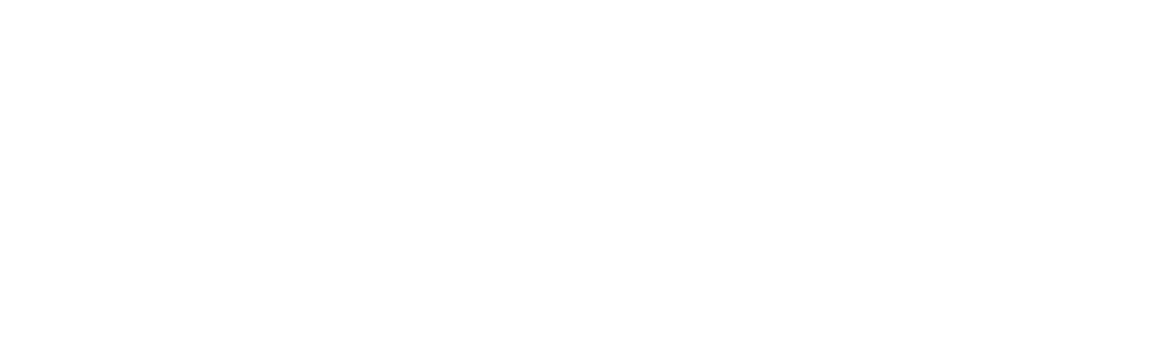 Spotify Logo RGB White