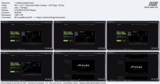 Algo Trading with Flex Grid for MetaTrader 5