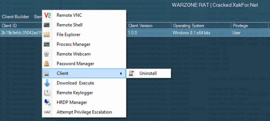 Warzone 10 RAT Analysis Blog Image 35 