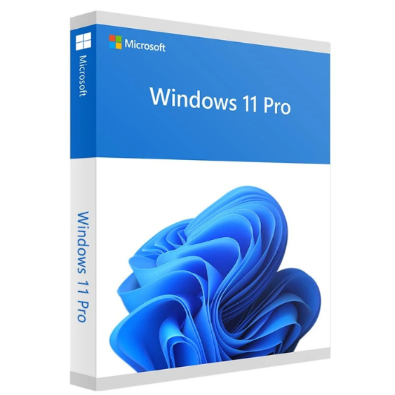 Win 11