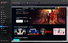 PlayerFab Amazon Player UI Main Window