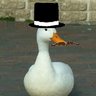 SirDuck