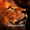 lioncat128