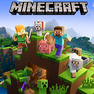 Minecraft Config + x7 Minecraft Hits