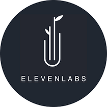 ElevenLabs.io Full Capture 2024