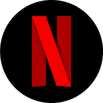 NETFLIX WORKING CONFIG 2024