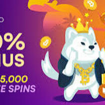 Wild.io casino cashout by @crax667