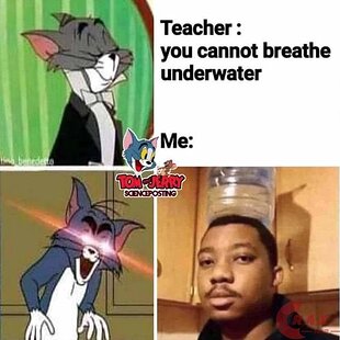 Tom & Jerry Meme