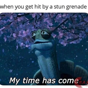 Stun grenade meme