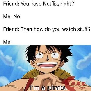 Netflix Meme