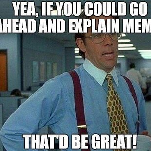 WHAT IS A MEME?