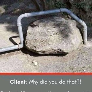 Client developer meme