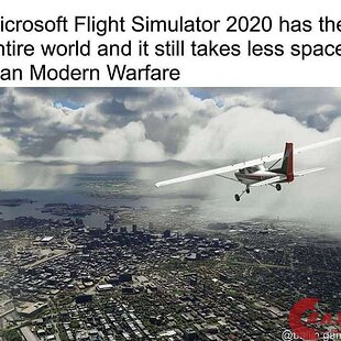 Flight simulator + MW meme