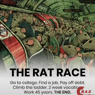 Rat race