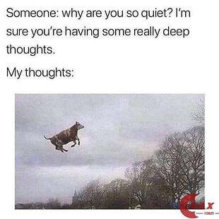 My thoughts meme