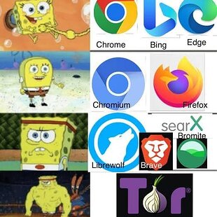 highest browser