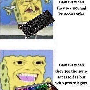 Gamer's and RGB