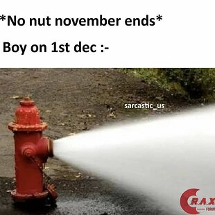 No nut November