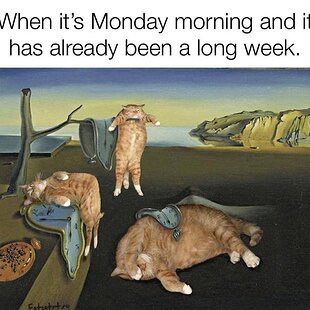 It's just Monday.