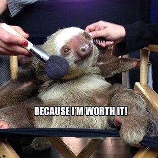 Sloth-Meme-Because-Im-worth-it.jpg