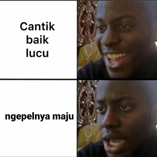 Meme ninga.jpg