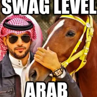 arab-brblems-710x434.webp