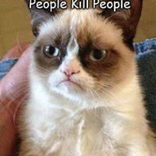 Grumpy cat