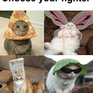 sunglasses-choose-fighter.png