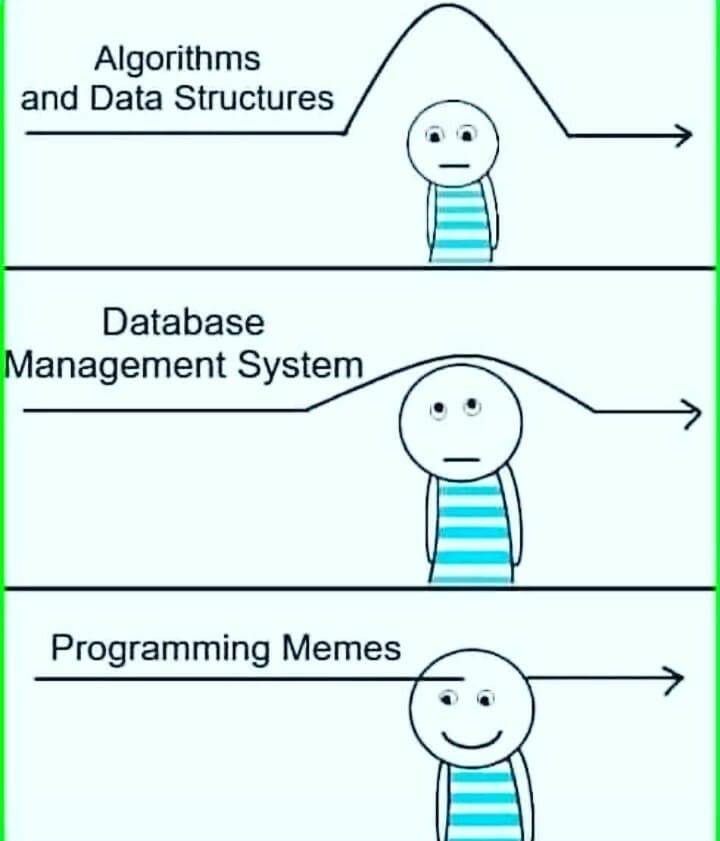 casual programmer's life ig