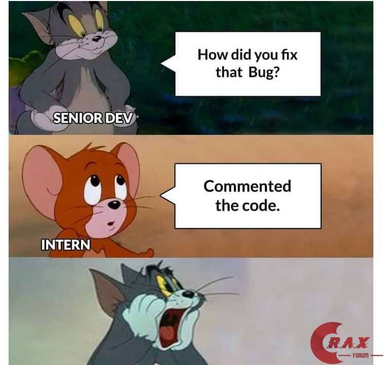 Coding meme