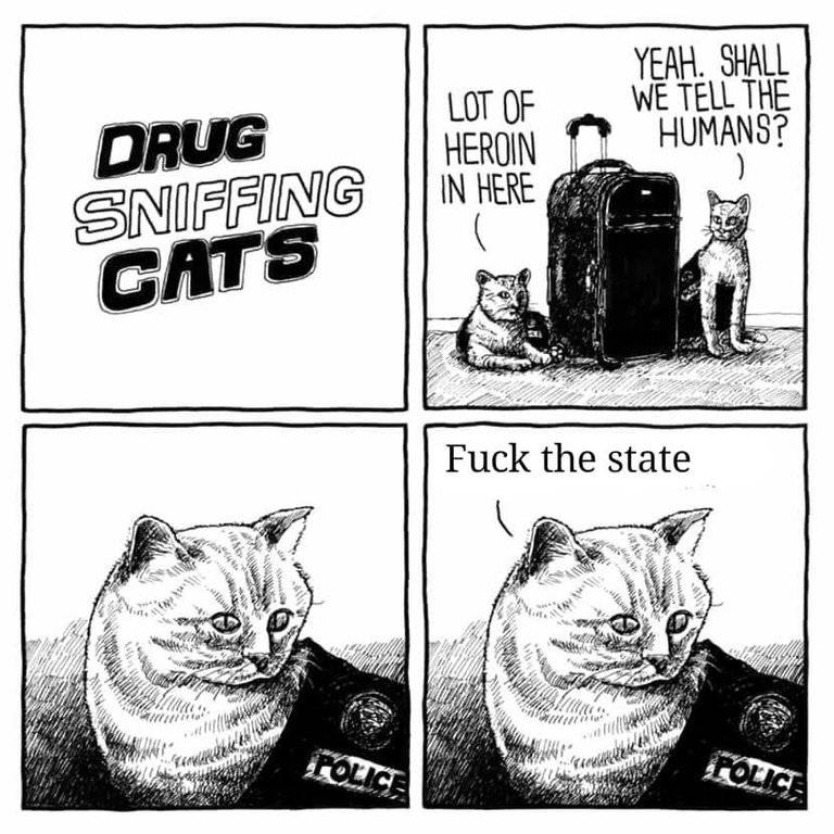 drug enforcement kitty