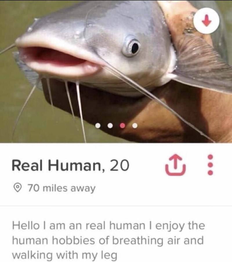 fake-dating-profile-of-fish-pretending-to-be-human.jpg