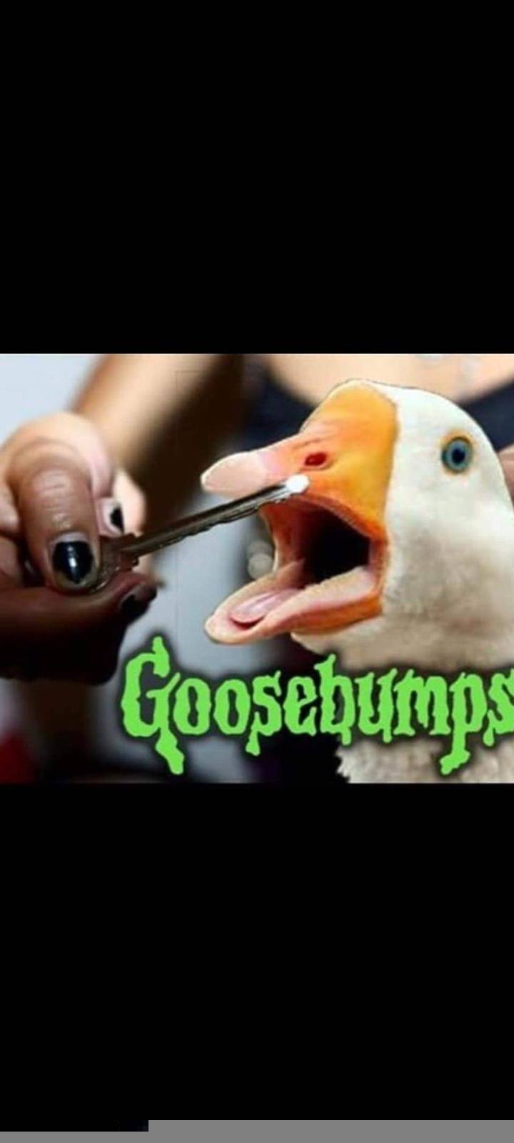 Goose