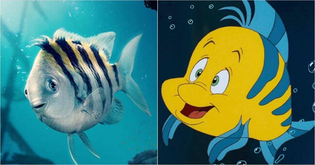 Is it just me or does "New Flounder" look like a fish serial killer?