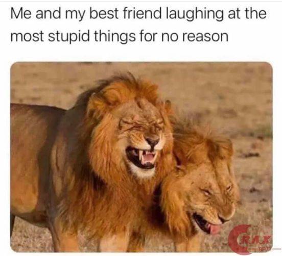 Me and my best friend laughing at the most stupid things for no reason