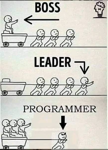 Programmer 😂