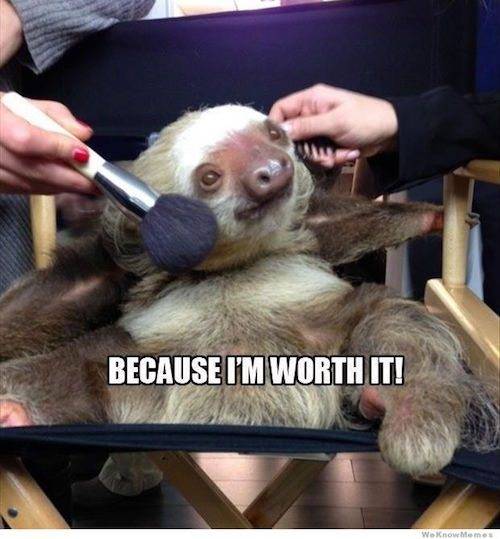 Sloth-Meme-Because-Im-worth-it.jpg