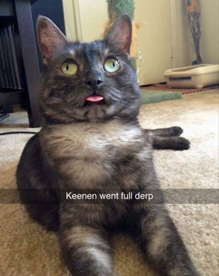 snapchat-of-cross-eyed-cat-sticking-tongue-out.jpg