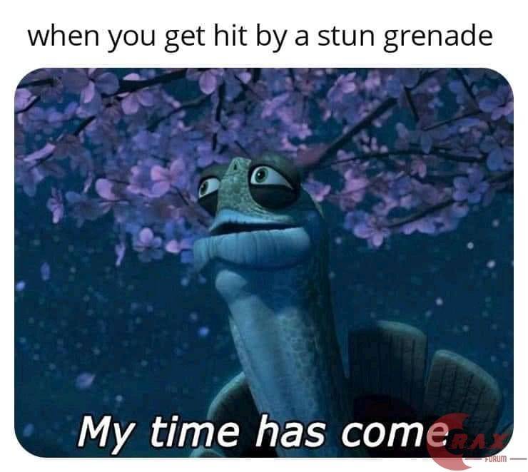 Stun grenade meme