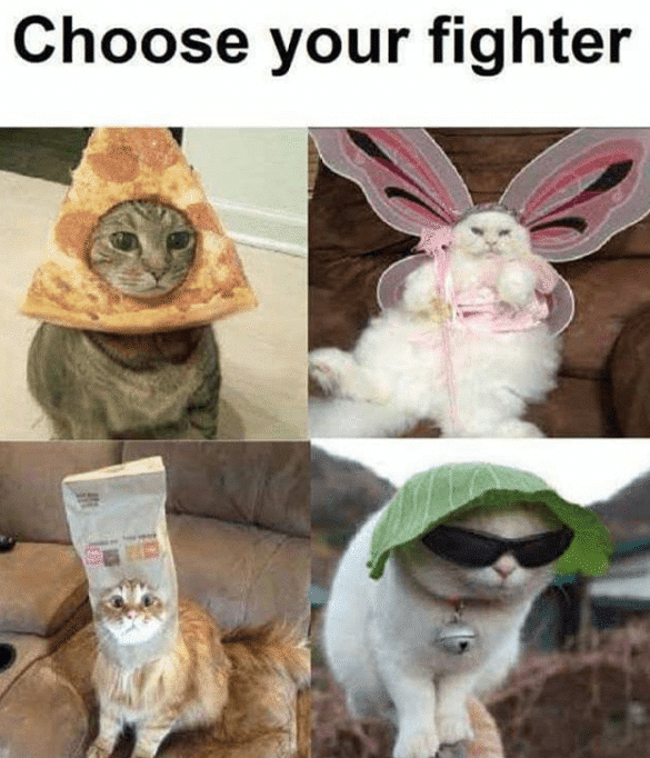 sunglasses-choose-fighter.png