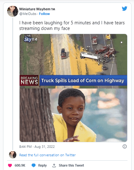 Truck spills load of corn on highway 🤣🤣