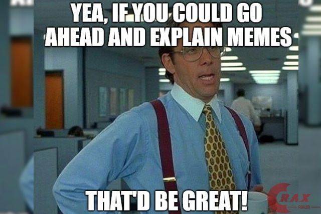 WHAT IS A MEME?