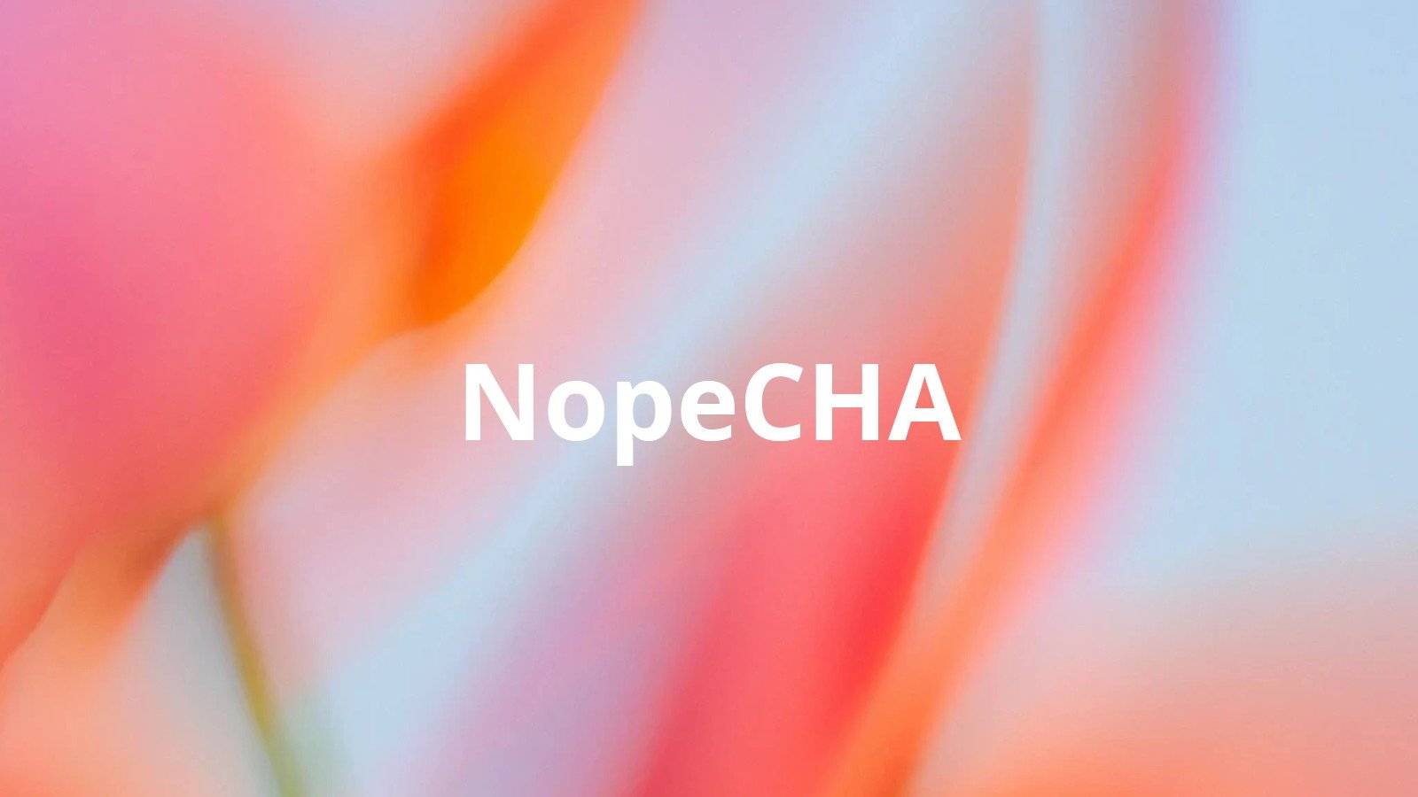 nopecha.com