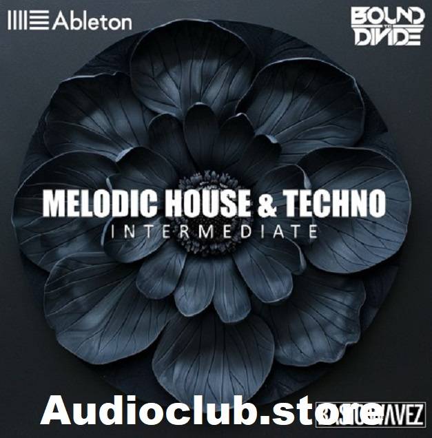 audioclub.store